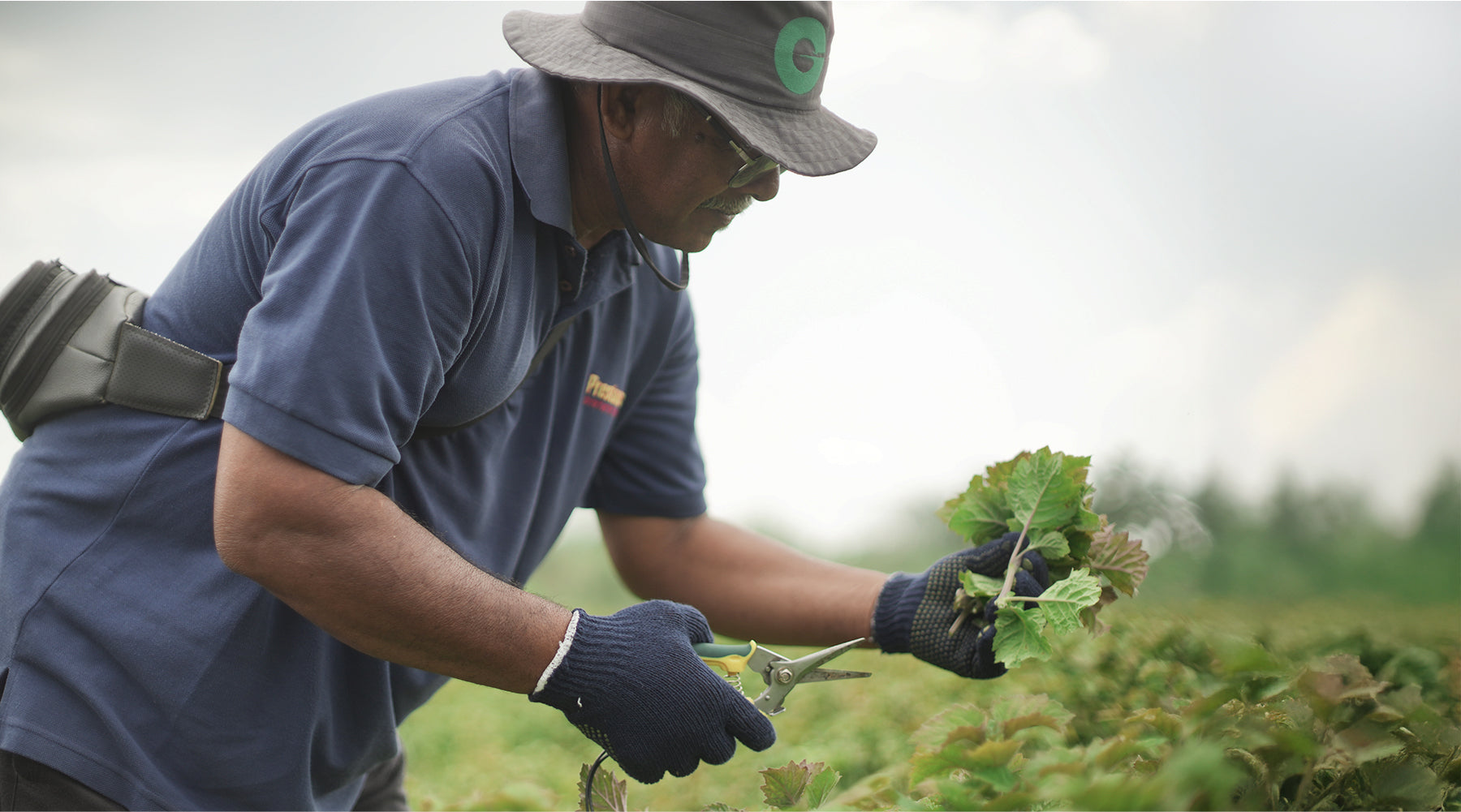 Gerania by Botanical Essentials: Aroma Grounding untuk Perawatan Diri & Kesehatan Mental