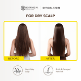 Repairing Shampoo YLANG 1L With Pump