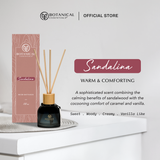 Reed Diffuser 100ml