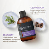 Rebalancing Shampoo - Patchouli